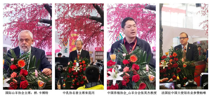 VIP888·(中国区)有限公司官网